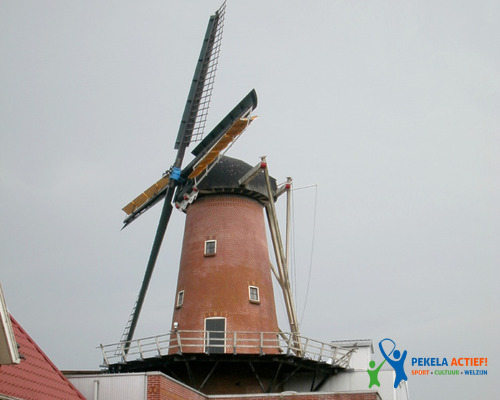 Molen De Zwaluw